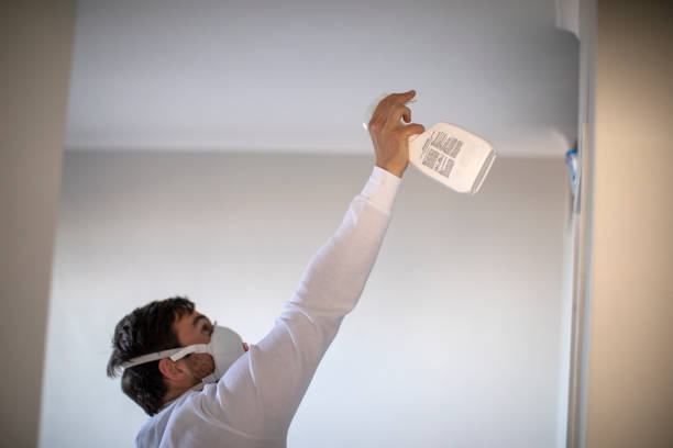 Best Mold Testing  in Claxton, GA