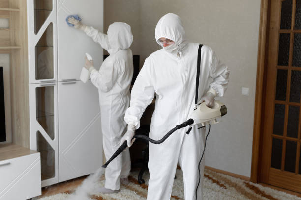 Best Mold Removal Process  in Claxton, GA