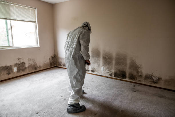 Best Professional Mold Removal  in Claxton, GA