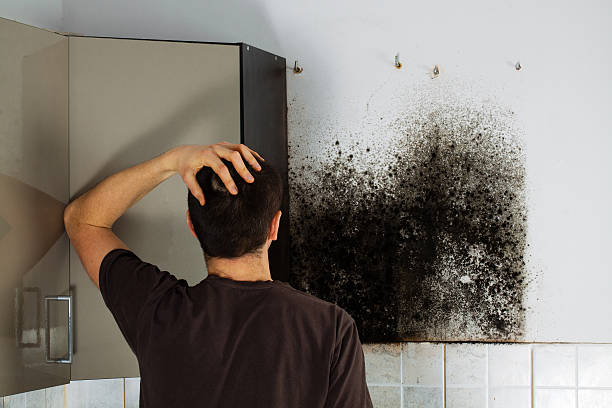 Best Mold Cleaning Services  in Claxton, GA